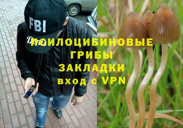 крисы Балабаново