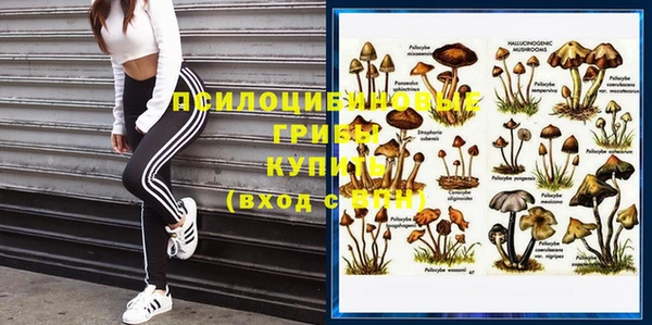крисы Балабаново