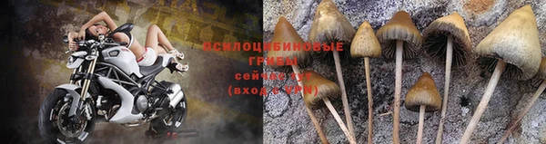 твердый Баксан