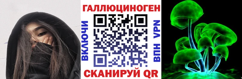 Галлюциногенные грибы Psilocybe  omg сайт  Кизилюрт 